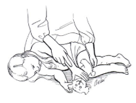 Photo 4.PNG