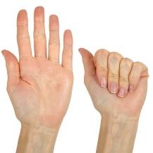Showing a partial fist exercise