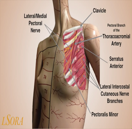 pinpoint pain in left breast