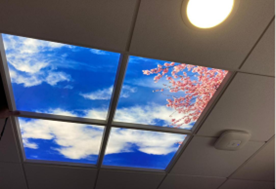 2021 donating four ceiling skylights
