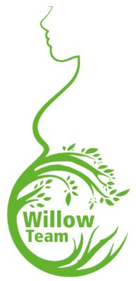 Willow team logo.JPG