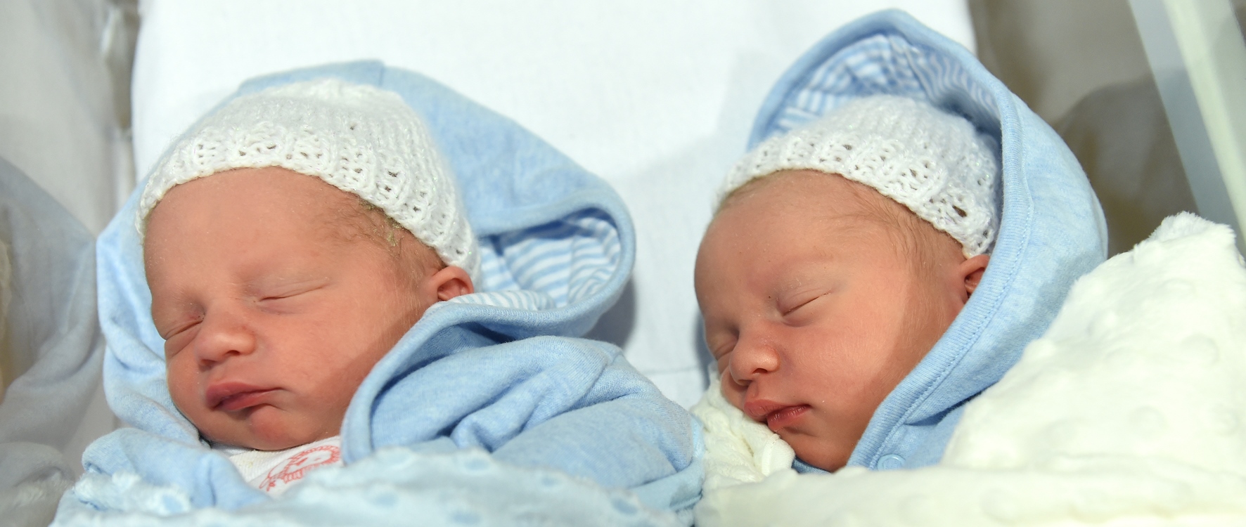 twins