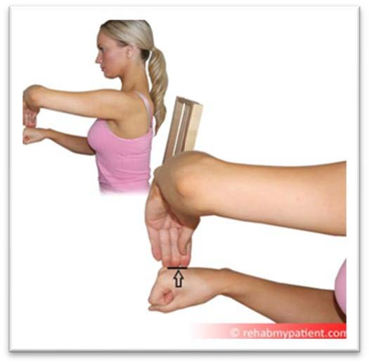 Showing resist extending the wrist exercise