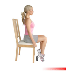 Showing Heel Raises Sitting exercise